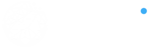 Cooki logo full białe bt seo & content marketing